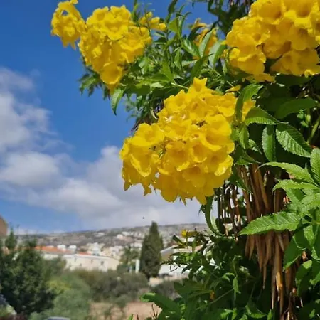 Superior Serenity Near Coral Bay アパート ペイヤ