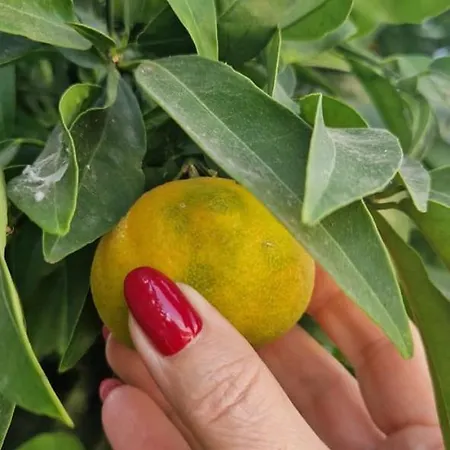 Superior Serenity Near Coral Bay * Peja