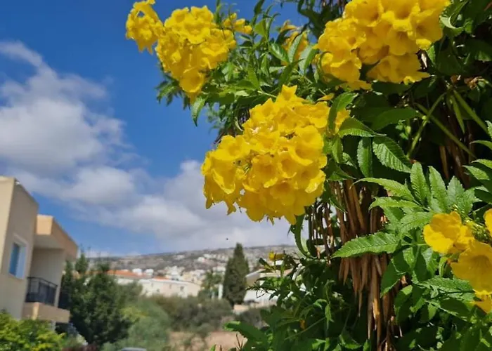 Superior Serenity Near Coral Bay アパート ペイヤ