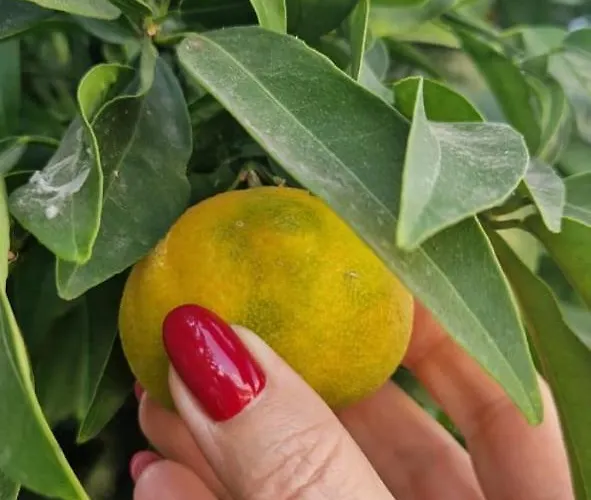 Superior Serenity Near Coral Bay * ペイヤ